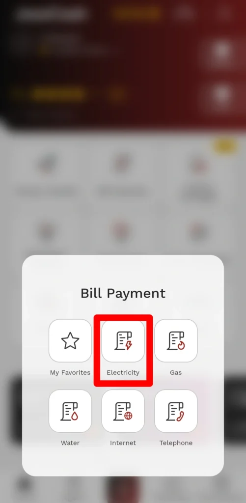 online bill check fesco